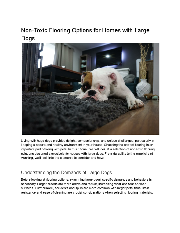 Non-Toxic Flooring Options for Homes with Large Dogs.pdf