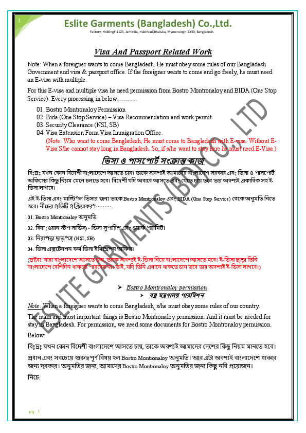 VISA AND PASSPORT RELATED WORK.pdf