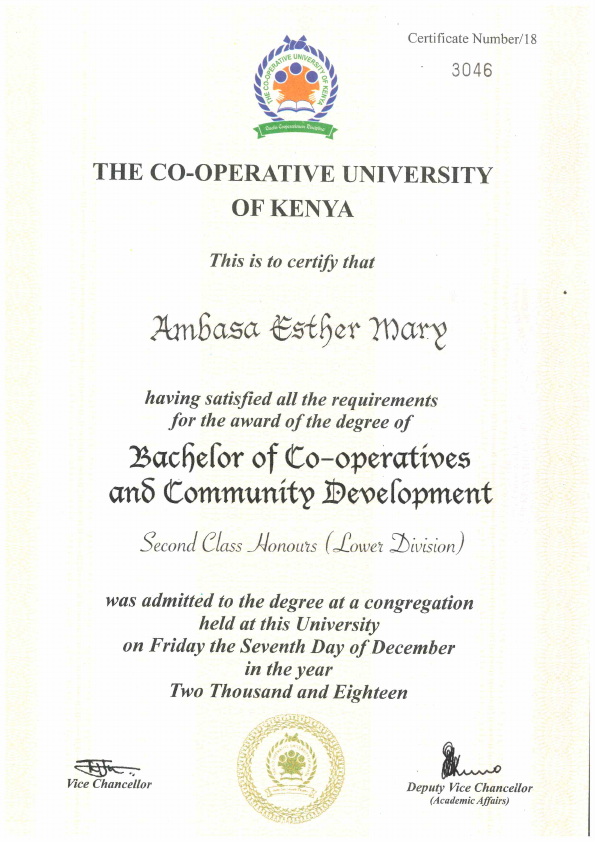 MY DEGREE CERTIFICATE.pdf