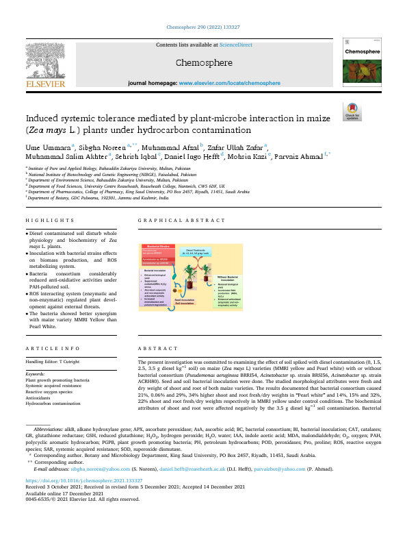 Induced systemetic tolerance mediated by plant microbe interaction in maize.pdf