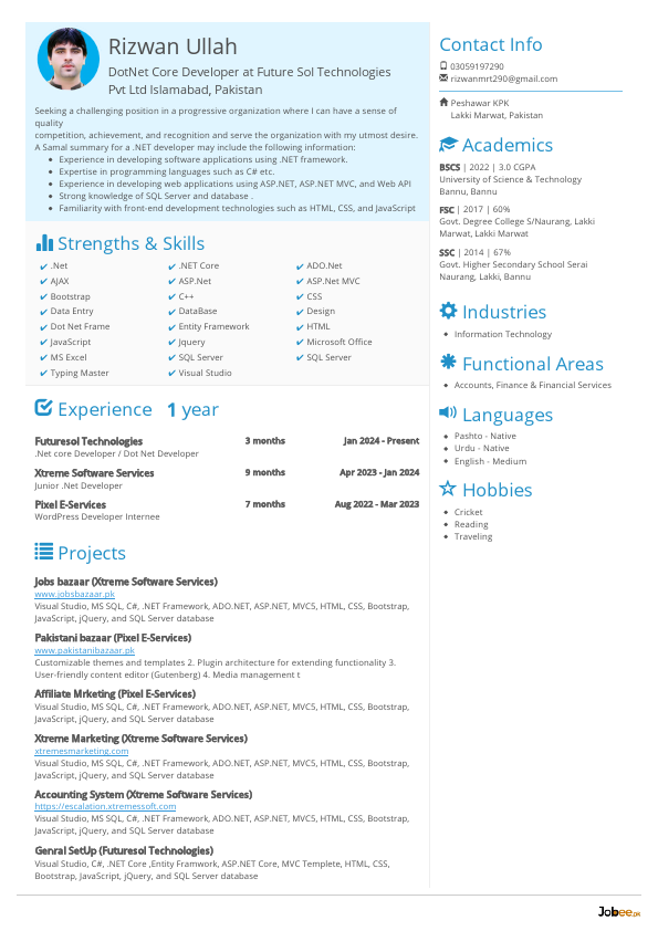 Resume Professional.pdf