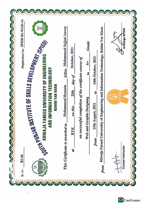 south punjab Institute skill husnain sajjad.pdf