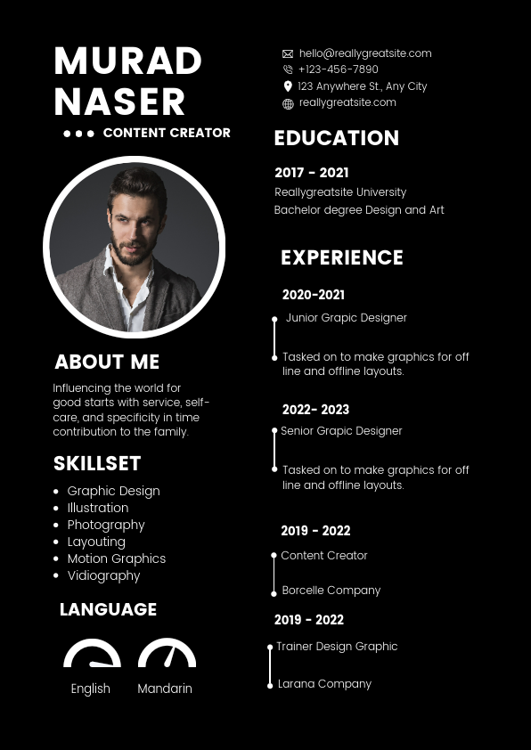 Professional CV Resume_2.pdf
