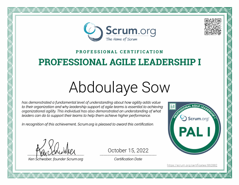 Professional Agile Leadership I.pdf