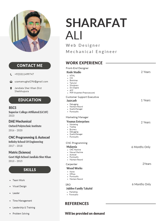 usama-resume.pdf