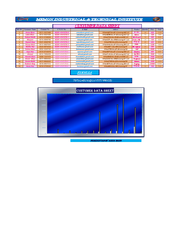 CUSTUMER DATA SHEET.pdf
