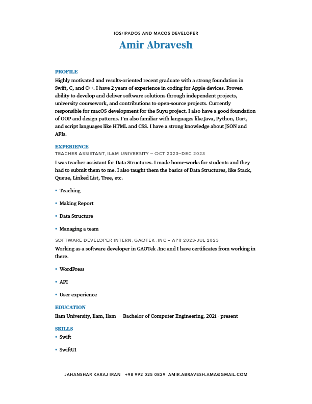 Resume - Amir Abravesh.pdf