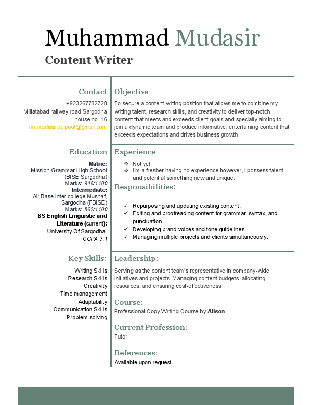 Muhammad Mudasir Resume-2.pdf