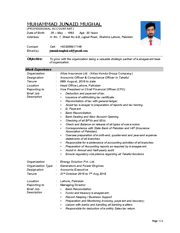 Junaid Mughal CV (2).pdf