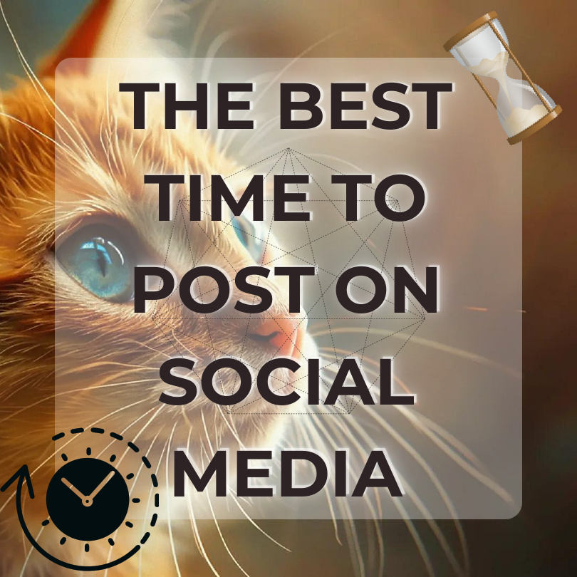 The best time to post on socail.pdf