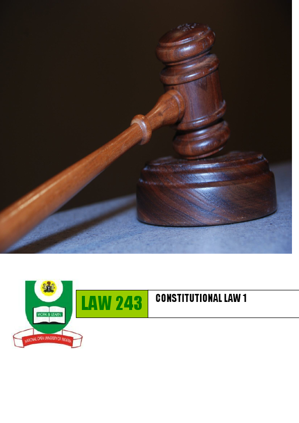 Constitutional law.pdf