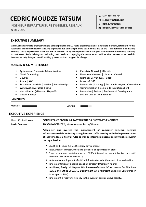 ING-MOUDZE-CV (English Version).pdf