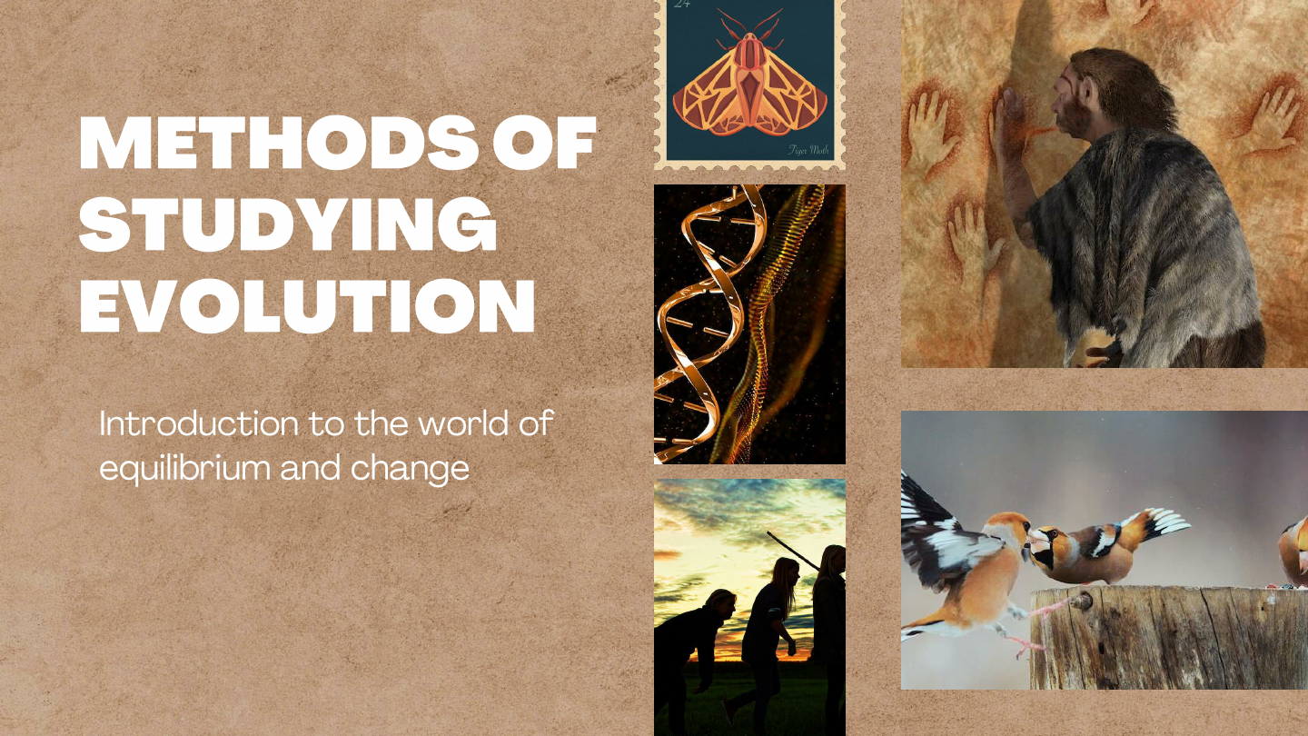 DOC-20240720-WA0004..pdf