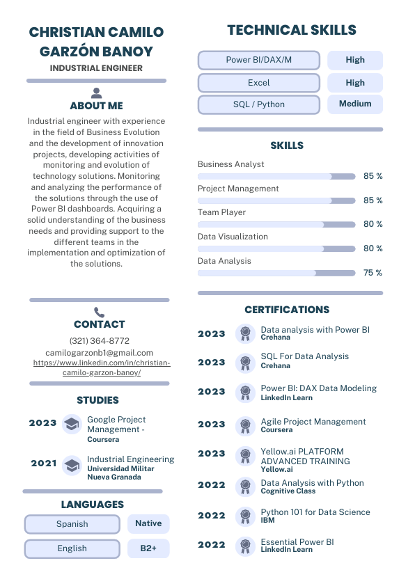 Business Analyst.pdf