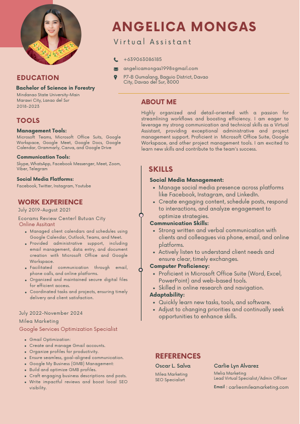 Angel Professional CV Resume.pdf