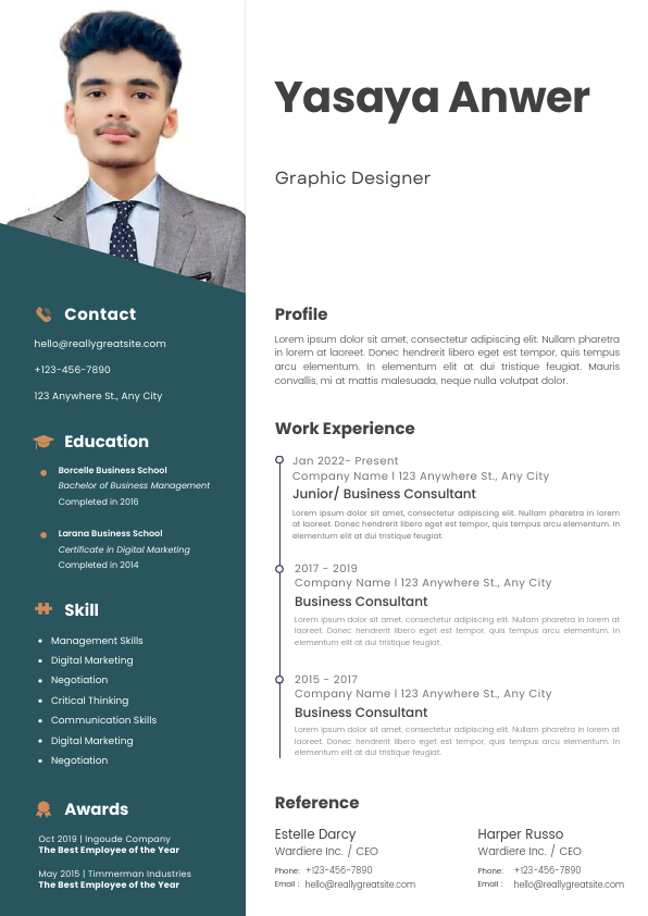 Professional CV Resume.pdf