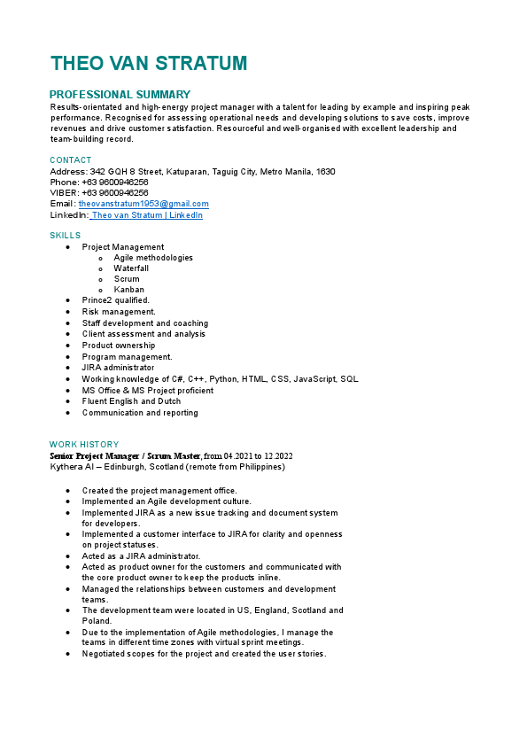 THEO VAN STRATUM.pdf