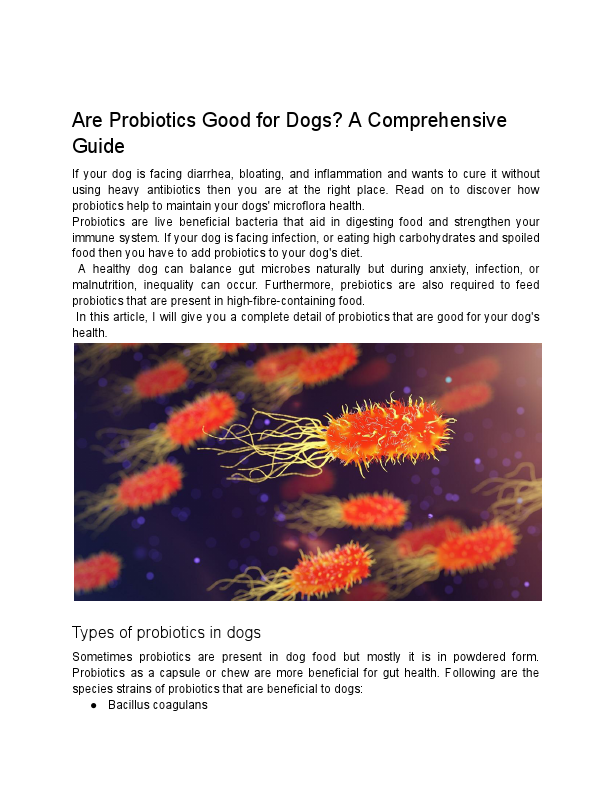 Are Probiotics Good for Dogs.pdf