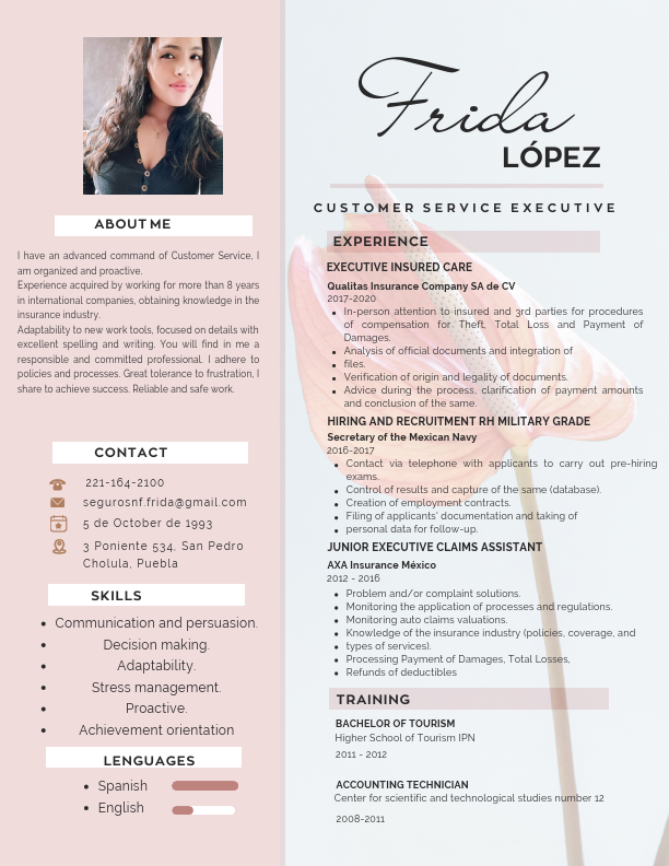 curriculum Vitae Ing.pdf