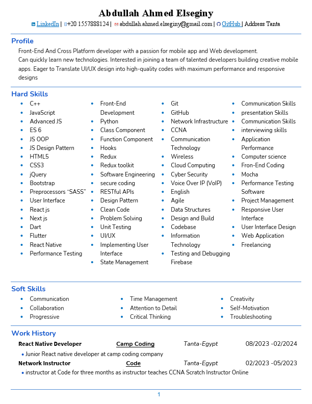 Abdullah-Elseginy-Front-End-CV.pdf