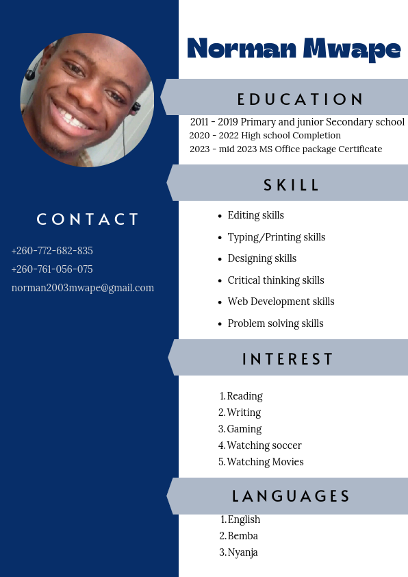 Norman Mwape CV.pdf