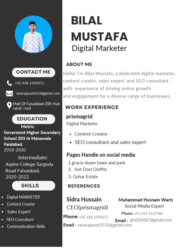 Professional CV Resume (2) (1).pdf