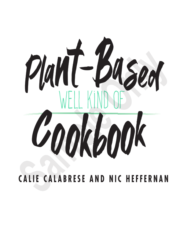 Cookbook_samples.pdf