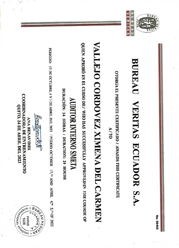 Certificados de Auditor y Sistemas de gestion.pdf