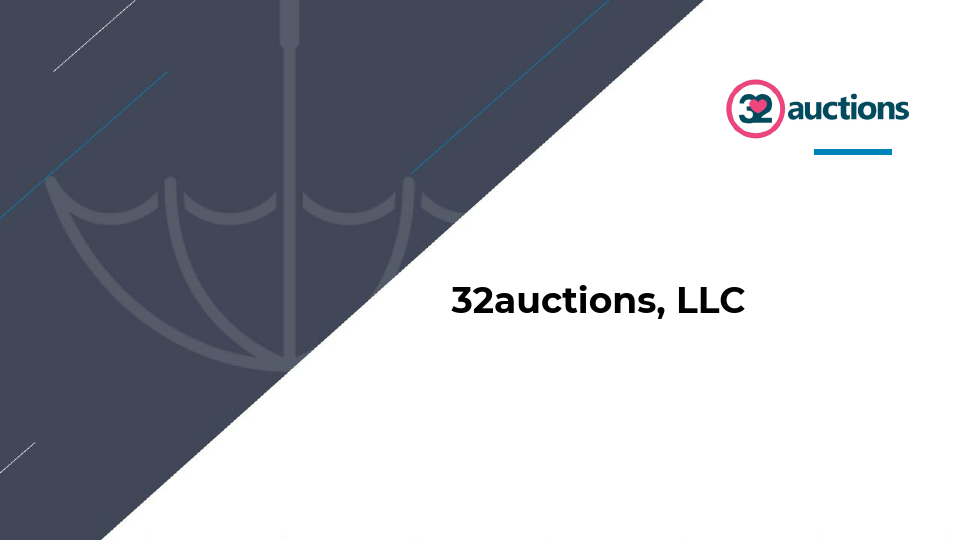 DETAILED BUSINESS PLAN AND OFFER.pdf