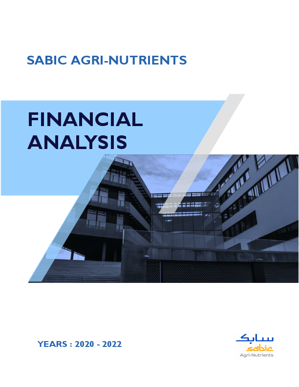 Financial Analysis Report.pdf