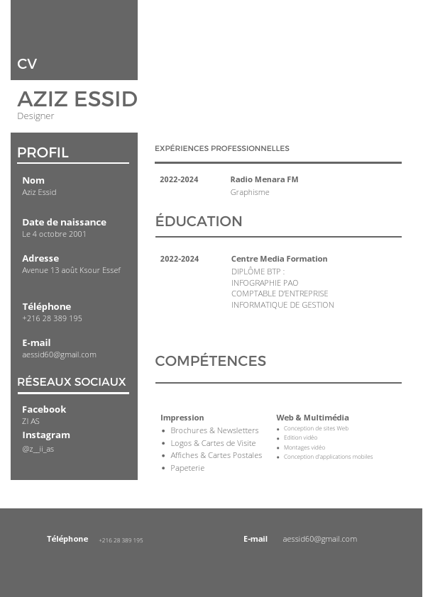 CV de aziz ess.pdf