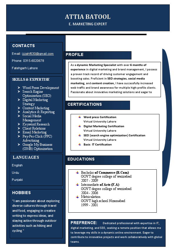 my new cv.pdf