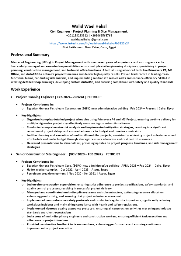 Walid Wael Hekal.pdf