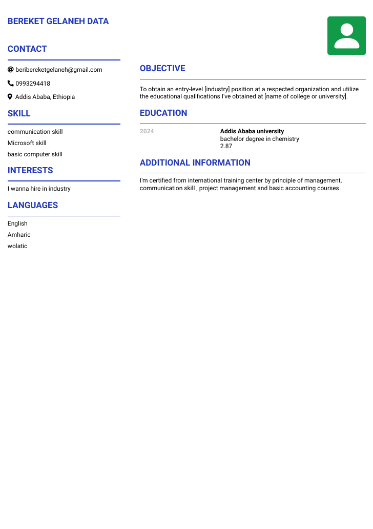 cv_bereket#13647474.pdf