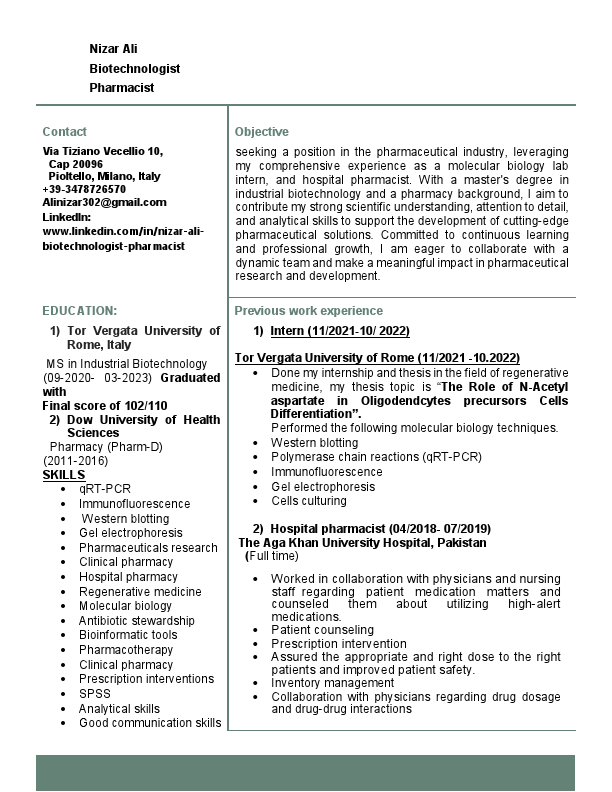 Nizar new CV.pdf