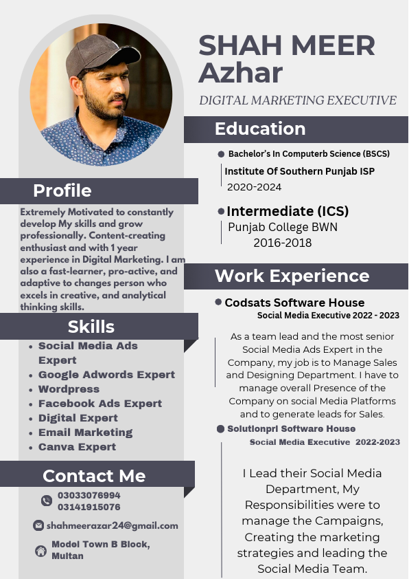 Professional CV Resume.pdf