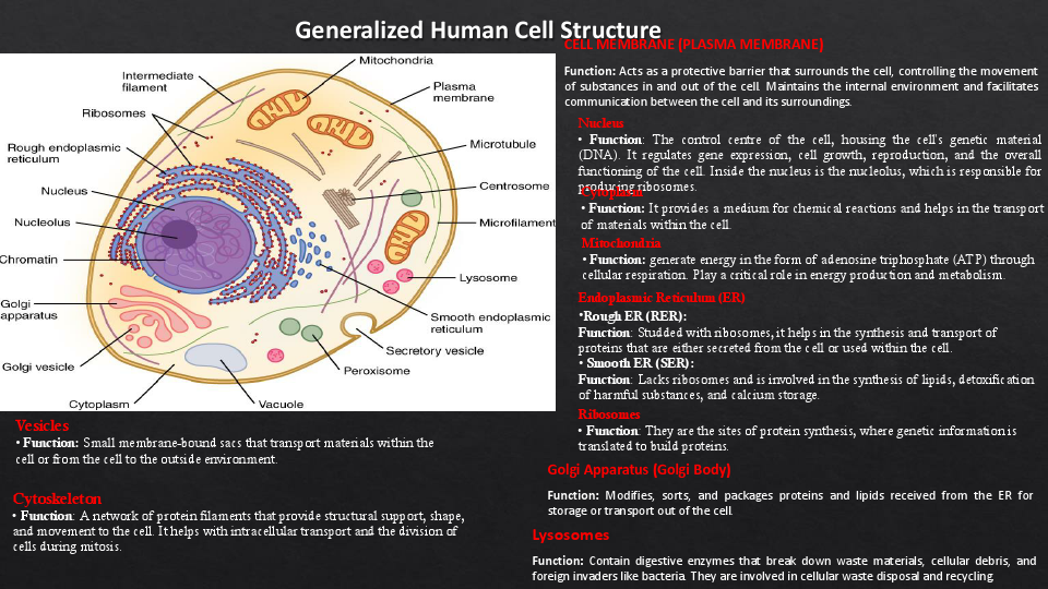 new poster assignment.pdf