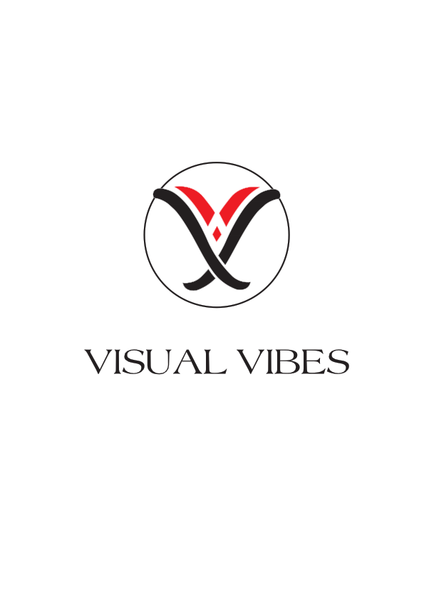 visual vibe logo.pdf