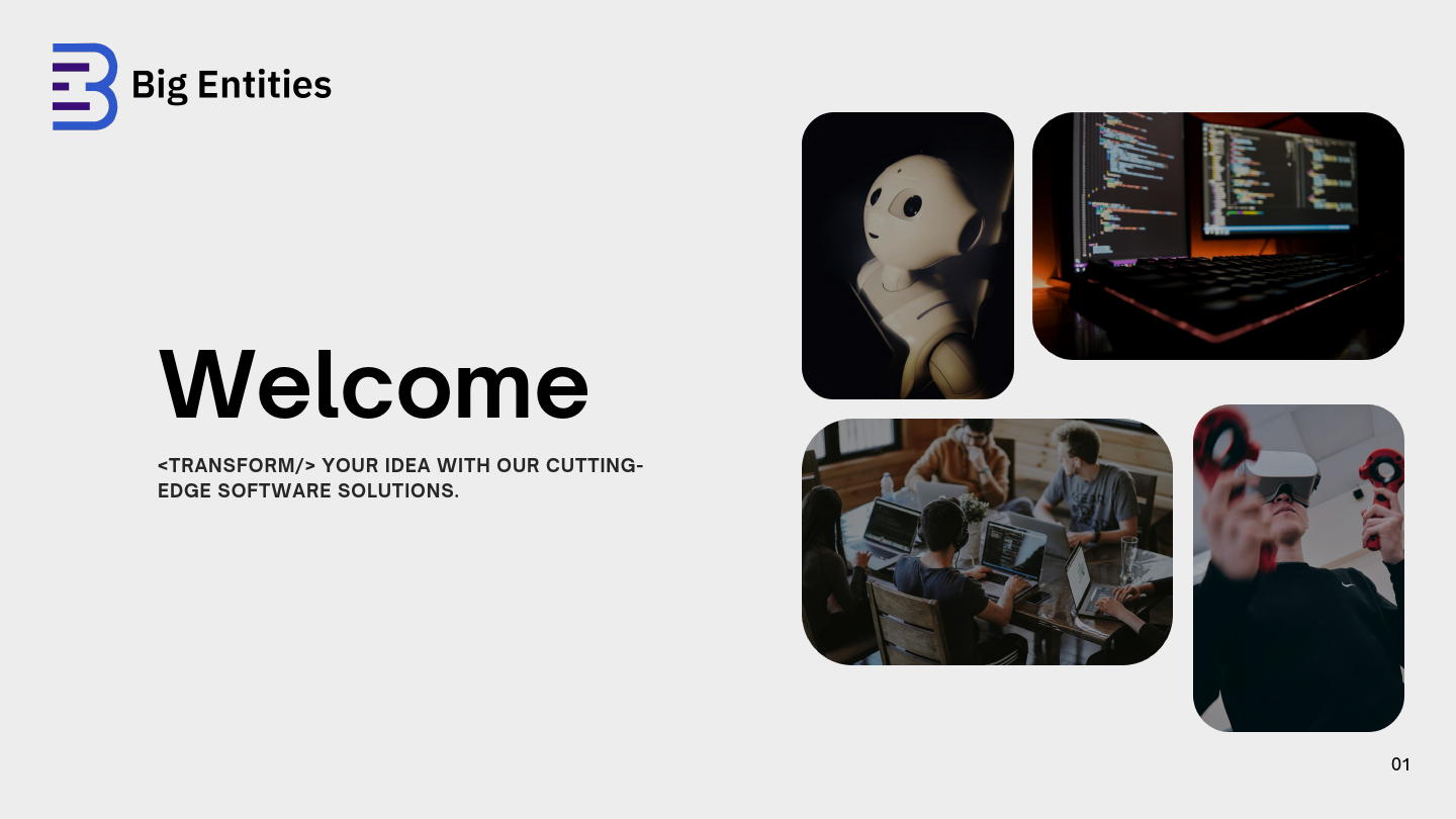 Big Entities Company Profile..pdf