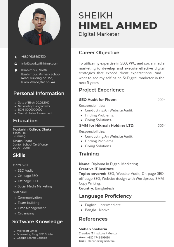 Professional CV Resume.pdf