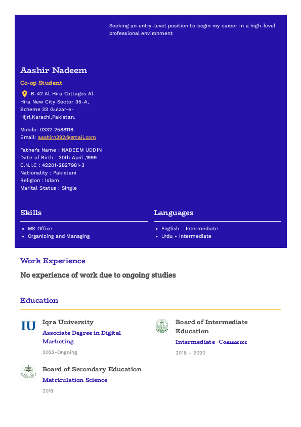 Aashir Nadeem CV Original With Logos Commerce Without Photo.pdf