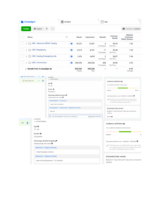 Facebook Ads (Portfolio).pdf