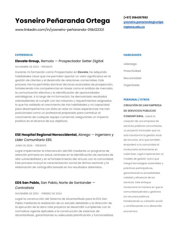 CV PSD YOSNEIRO P.pdf