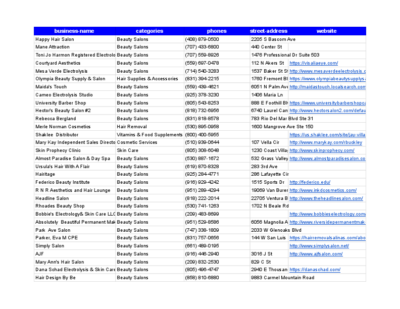 salon and beauty company - Sheet1 (1).pdf