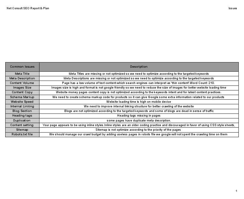 Net Consult SEO Report & Plan (1).pdf