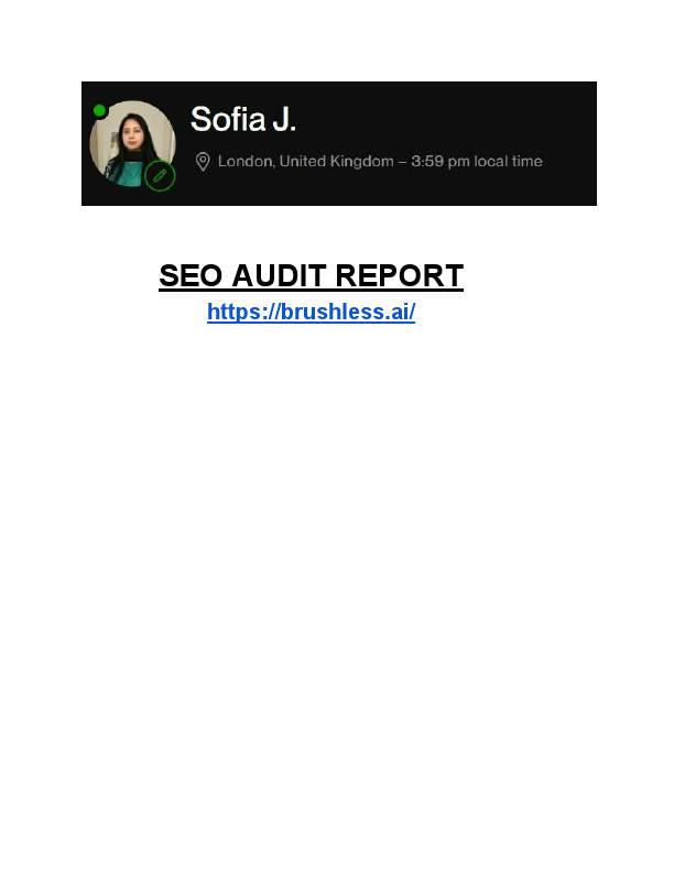 SEO audit report of brush.pdf