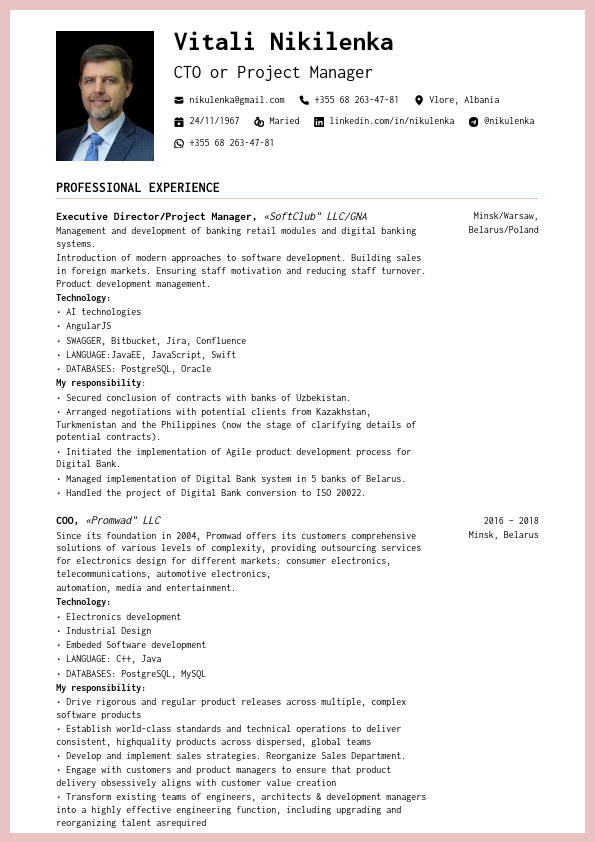 Vitali-Nikilenka-FlowCV-Resume-20241010.pdf