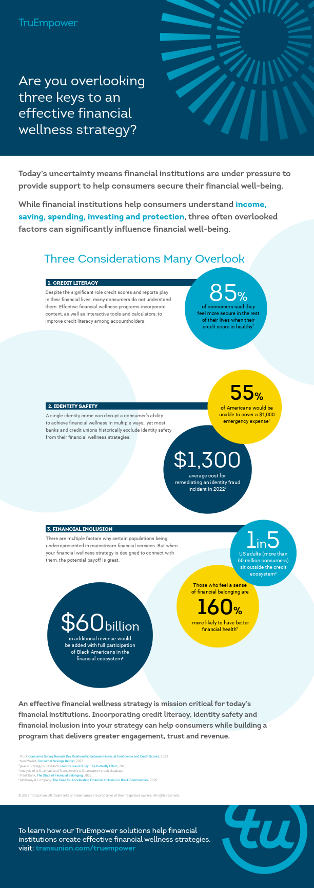 TruEmpowerFinancialWellnessInfographicUS2023.pdf