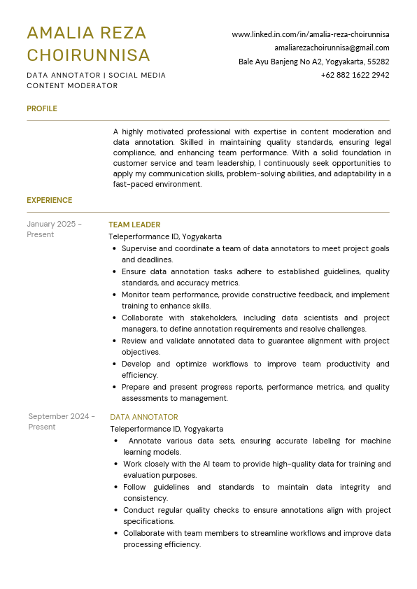 CV AMALIA R CHOIRUNNISA (2025).pdf