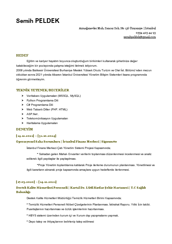 Semih Peldek 22.11.2024.pdf